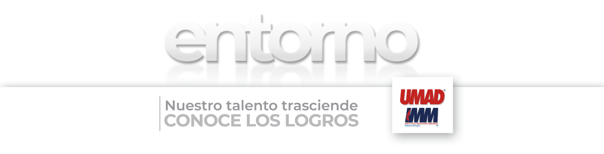entorno umad_imm_pagina web